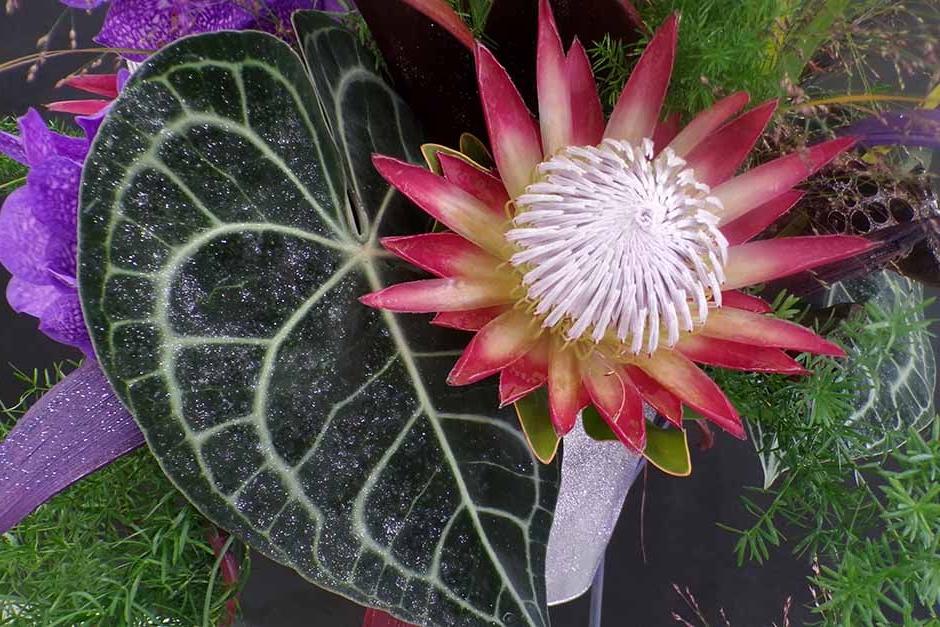 Floral art at Malvern Autumn Show