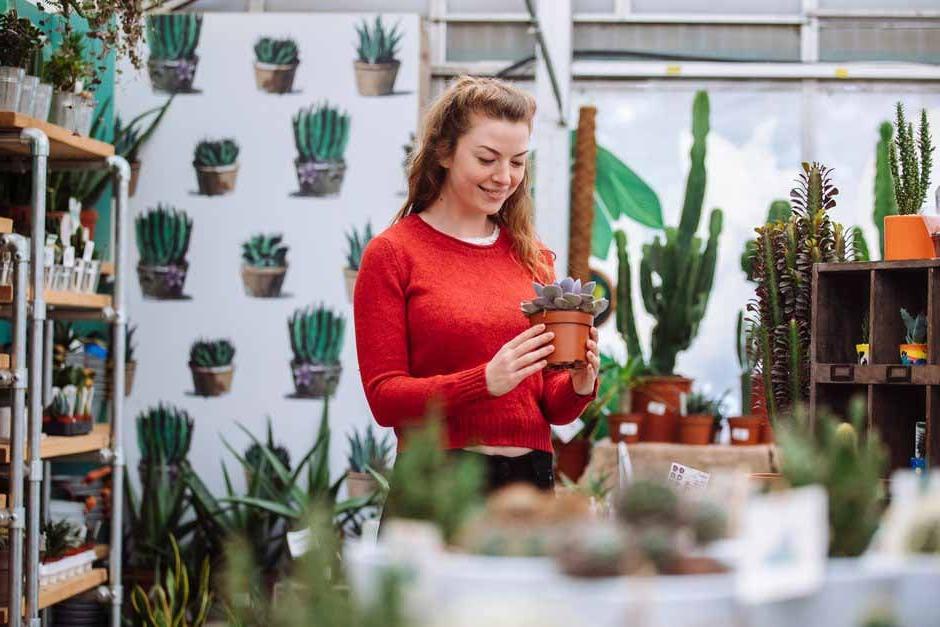 Visitor looks at houseplants