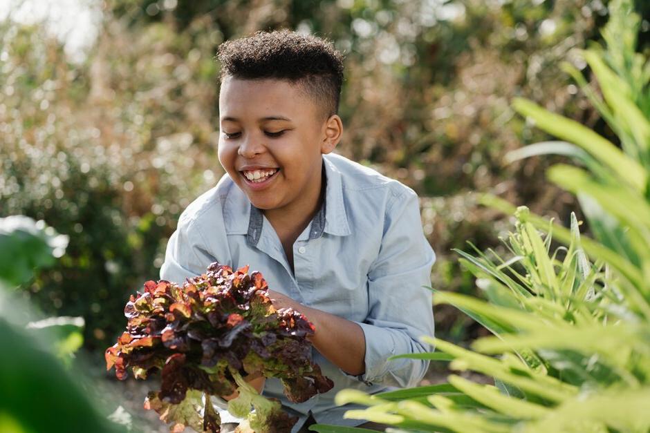 The new RHS Hilltop Learning Garden has been designed to encourage and inspire students to explore their natural environment and develop new ways of learning. Through experimentation, practical horticulture and science, the garden can provide the right environment for meaningful and extraordinary learning.&nbsp;