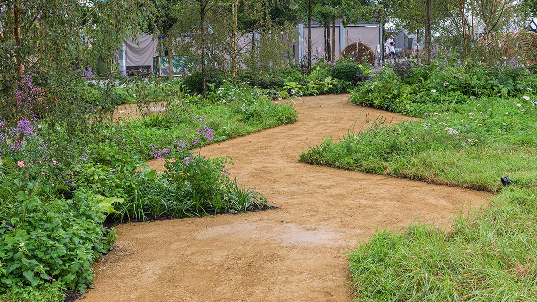 RHS Queen&rsquo;s Green Canopy Garden