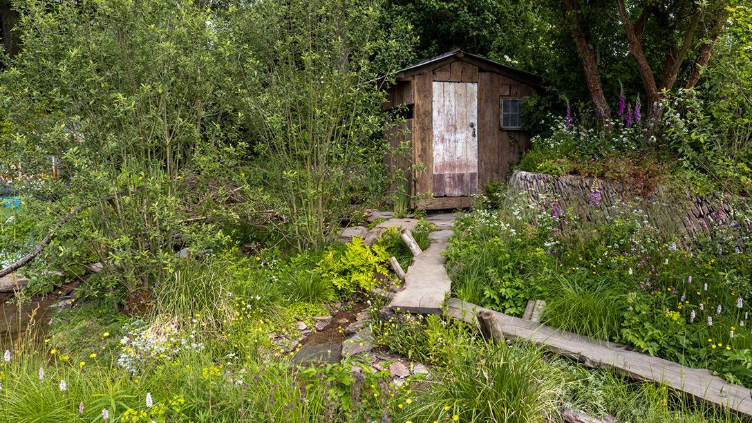 &nbsp;A Rewilding Britain Landscape