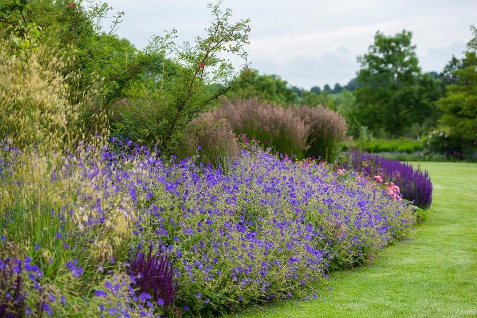 Shrubs, long-flowering perennials and seedheads of ornamental grasses provide interest through the seasons