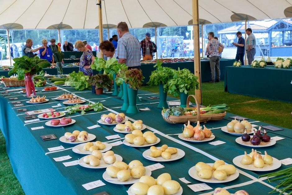 Vegetable display at RHS Tatton Park