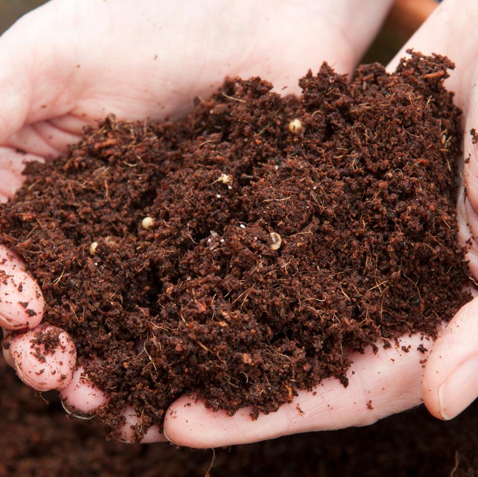 Many peat-free composts are based on coir or composted bark