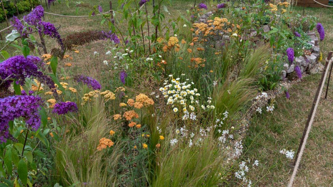 University of Sheffield: Beautifully Stressed Garden