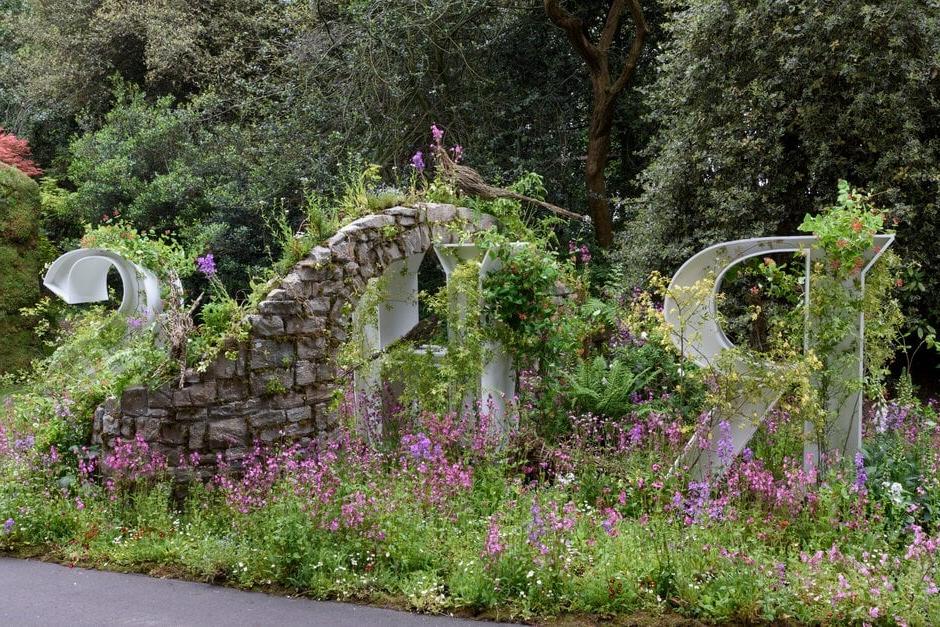 Tattie Rose Flowers: Wild Walls