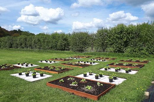 Snail and slug research plot