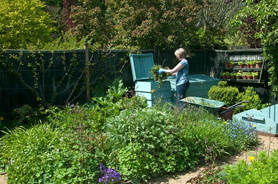 Fill your compost bin with a mix of leafy green material and chopped woody stems