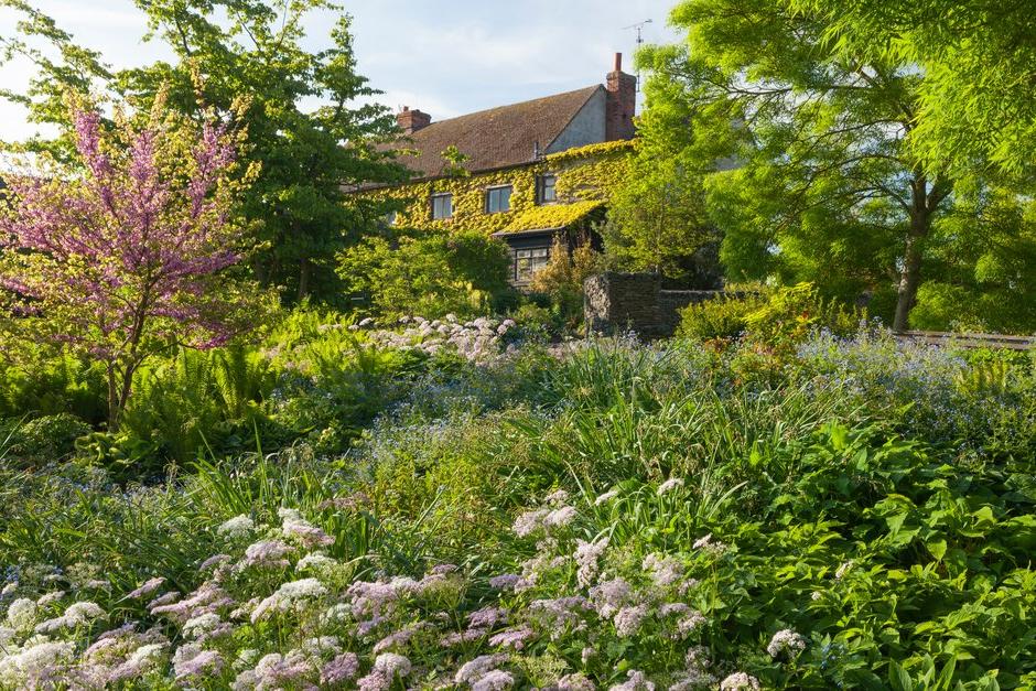 Improving the detection, identification and&nbsp;management of plant pests&nbsp;&amp;&nbsp;diseases and encouraging good stewardship of nature in gardens for environmental benefit.