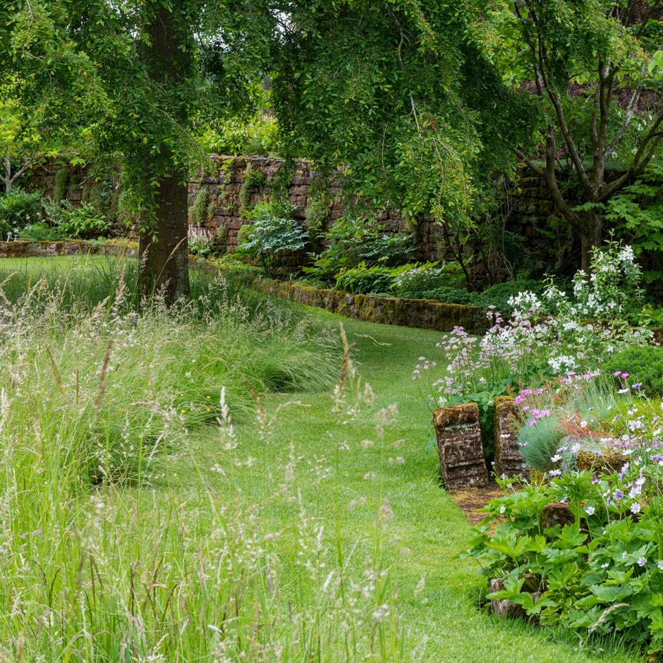 Try a combination of mown and unmown areas in your garden for a naturalistic look that provides for wildlife