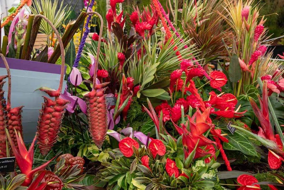 Ahoy! Barbados Landship in the Great Pavilion. RHS Chelsea Flower Show 2024