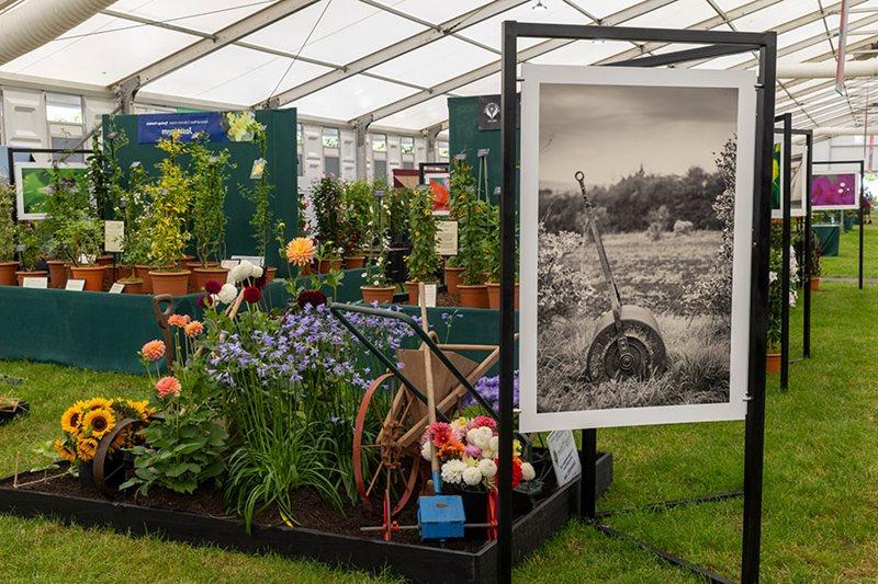 Master Grower display