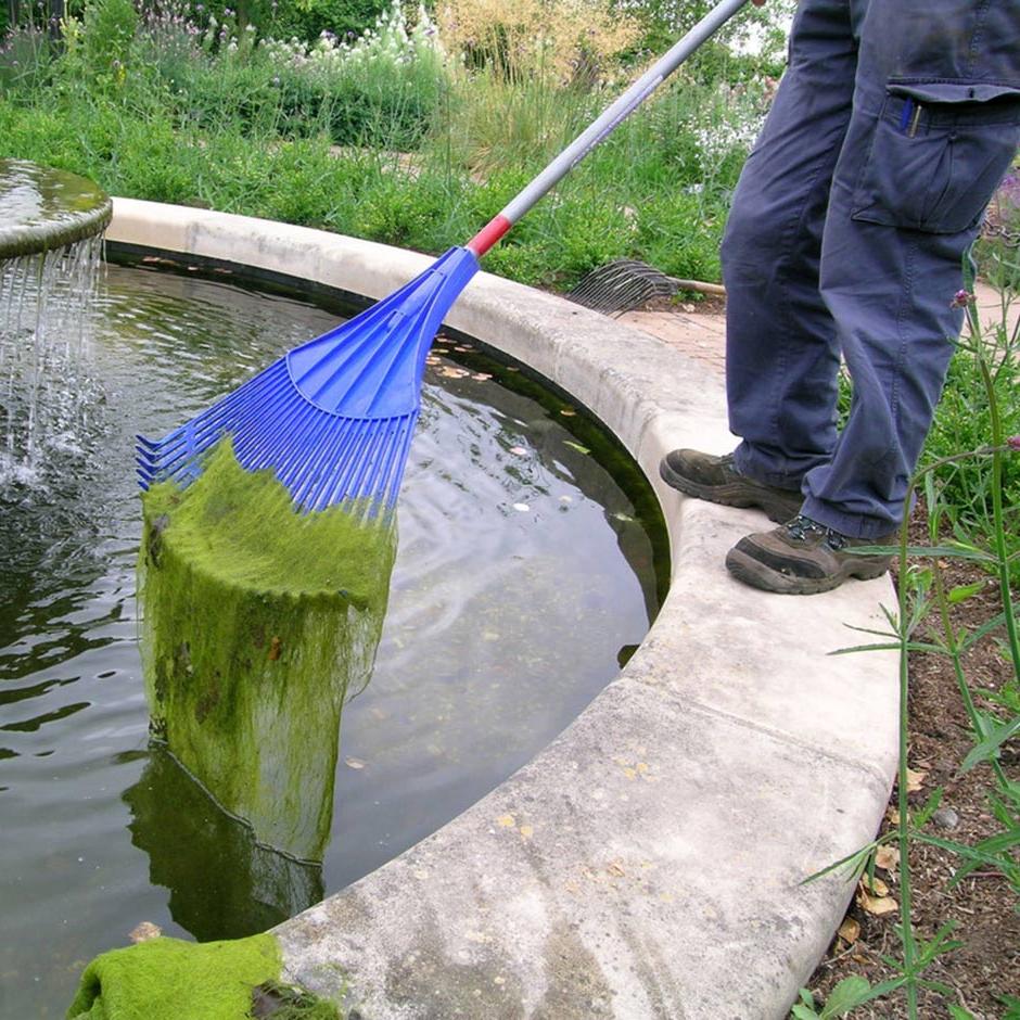 Remove blanket weed if you want to keep formal ponds clear