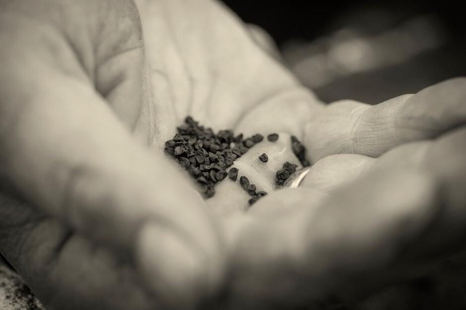 Master Growers hand holding seed