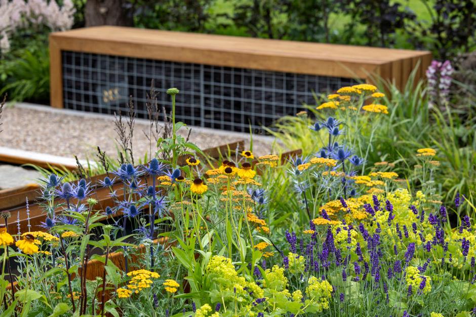 Watch Nadine’s design ideas for new build gardens