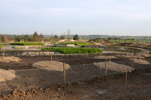 Sharp sand placed on the borders