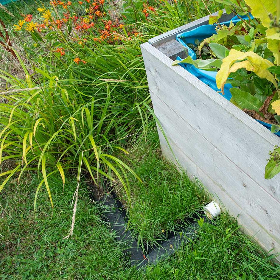 Rain Garden