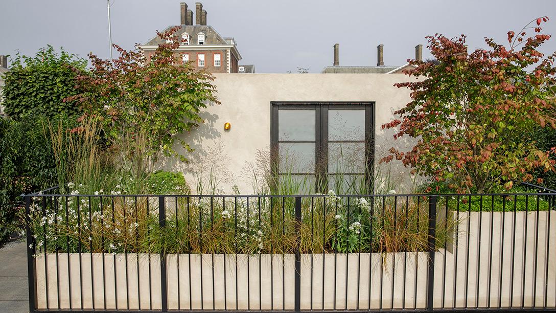 Balcony of Blooms