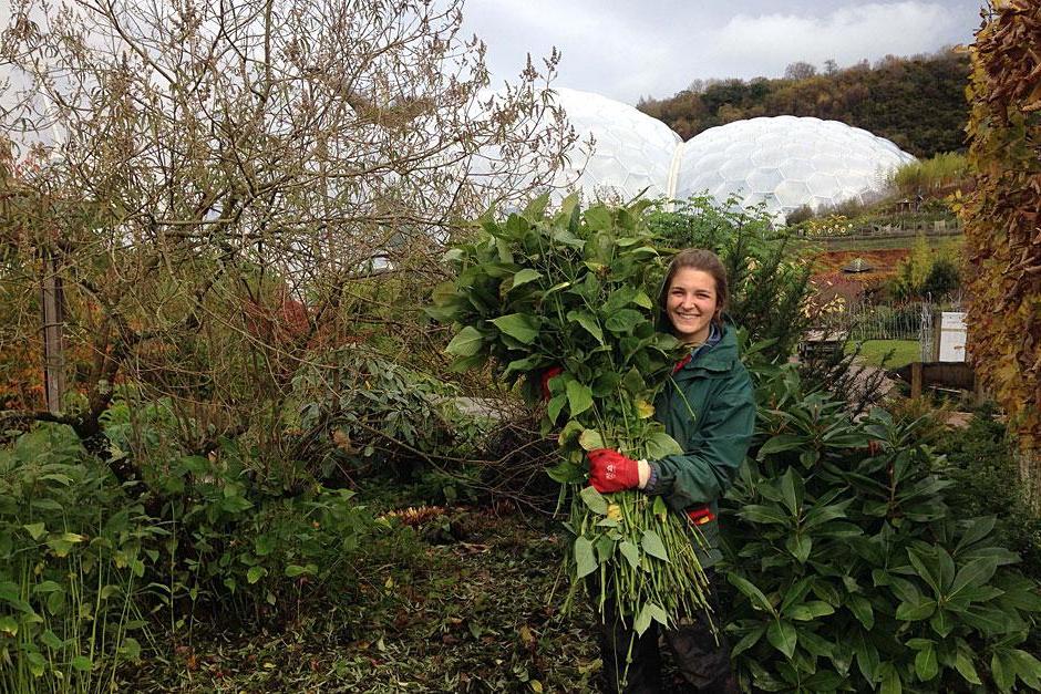 &ldquo;Each one of my placements has been unique and surpassed my expectations for what I thought I could learn.&rdquo;Molly Hendry