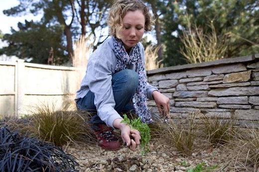 woman digging out weeds