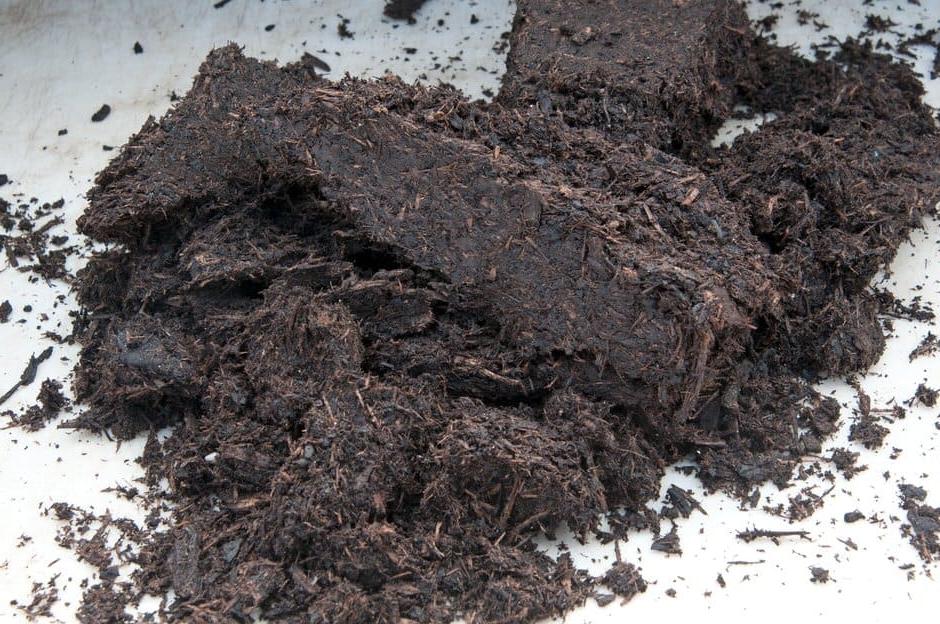 Tipping out spent compost lets you assess its condition and decide how best to reuse it