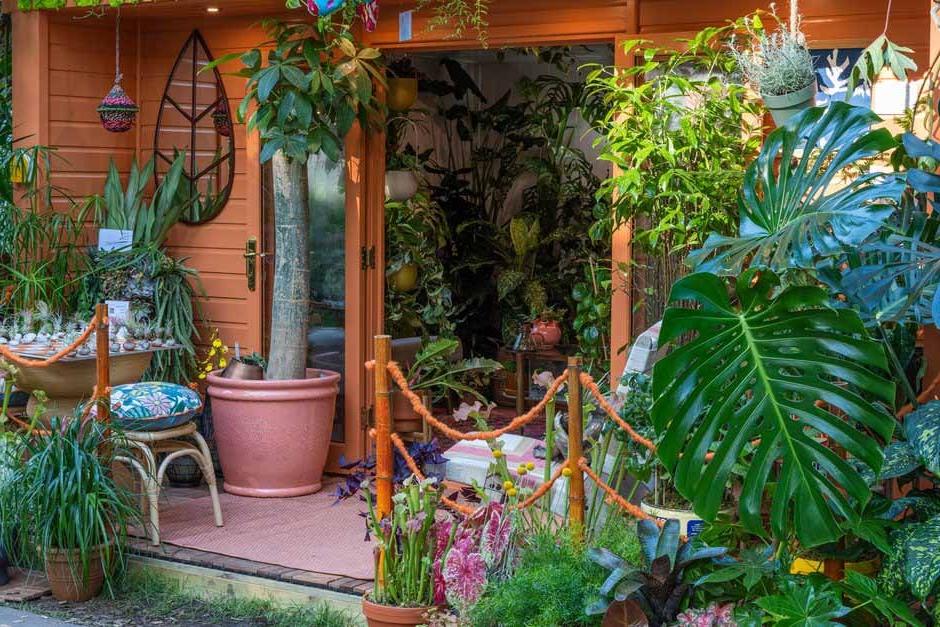 Upcycled Botanical: Making Small Spaces Beautiful