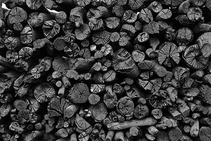 Wood-derived Biochar (Photos courtesy of Carbon Gold)