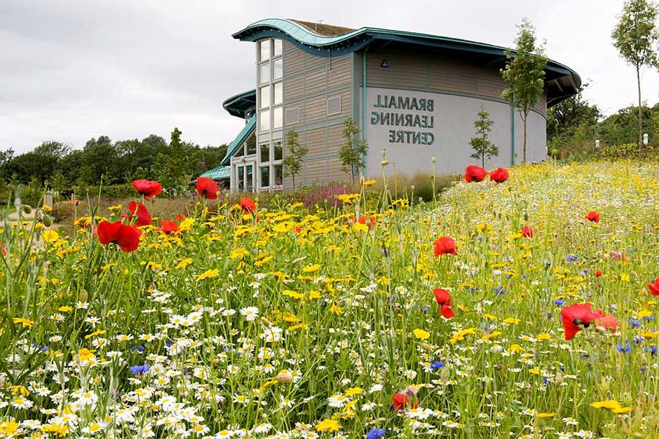 Schools on a guided visit are hosted in the Bramall Learning Centre. The building is a fabulous example of sustainability, generating the equivalent of its own energy, heat and water requirements via a ground source heat pump, rainwater recycling, a sedum roof and solar water heating. With its three classrooms, the centre supports learning for all ages and abilities.