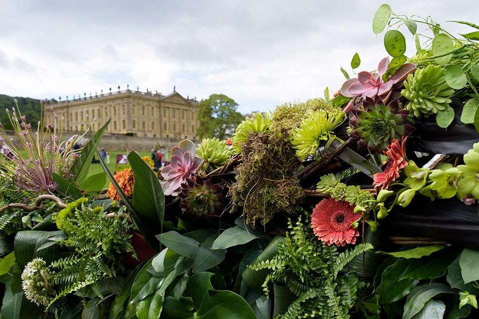 Hoyland Plant Centre Master Grower at Chatsworth Flower Show 2017