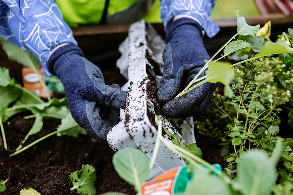 &ldquo;Everyone is&nbsp;very welcoming and friendly, Wisley is a beautiful place of work. It is great to see the garden out of hours and getting a feel for what it is like to work here.&rdquo;