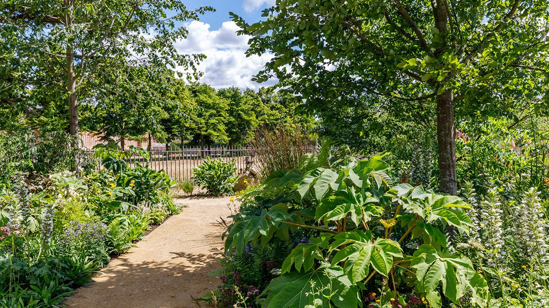 Iconic Horticultural Hero Garden &ndash; Sarah Eberle