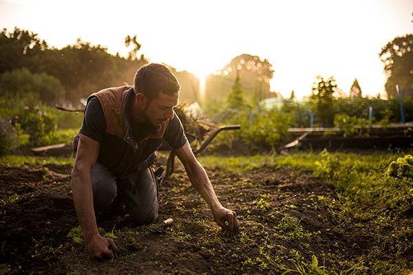 Planet-friendly gardening