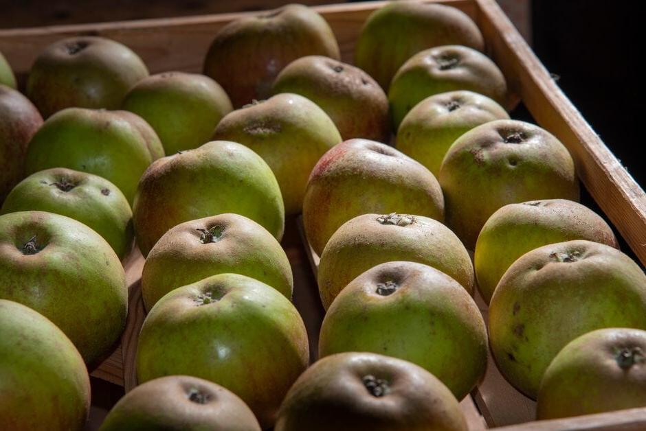 Stored apples