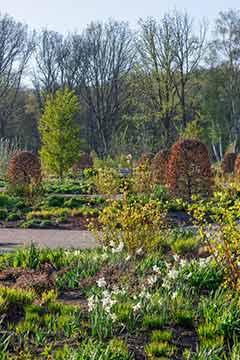 Walled garden at RHS Bridgewater