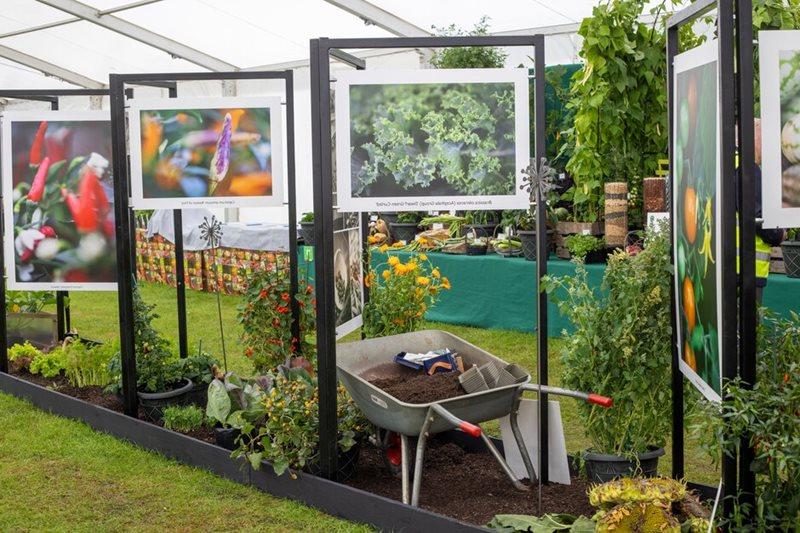 Robinson Seeds & Plants photo display