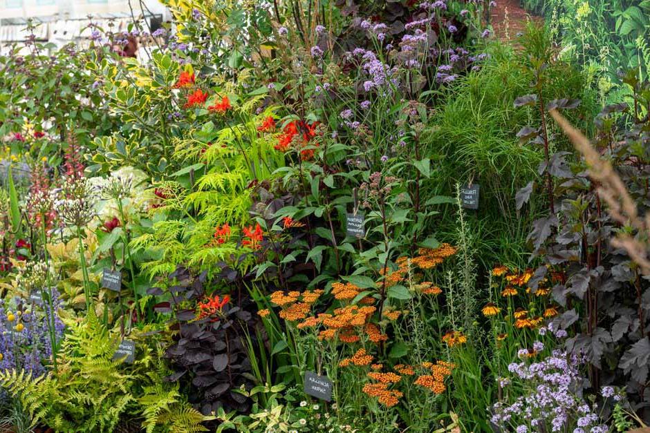 The Octavia Hill Garden at RHS Tatton Park