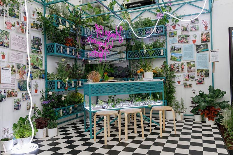 House of Wayward Plants exhibit