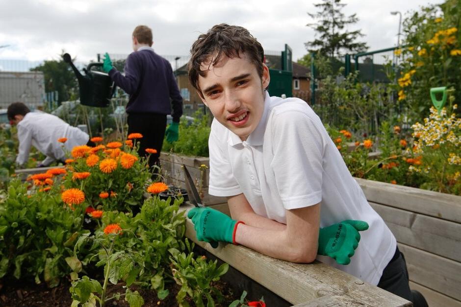 Community planting