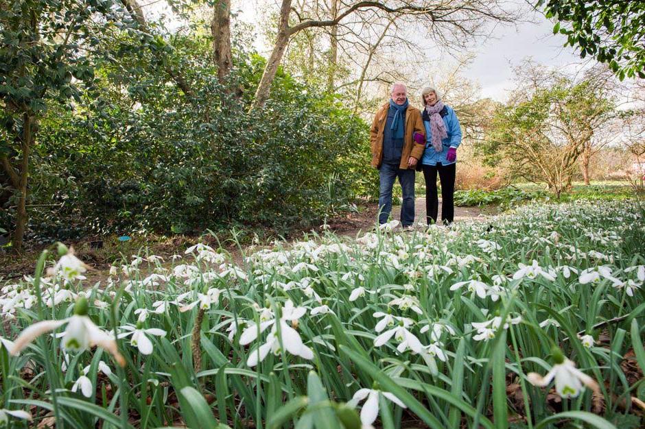 <p>Wisley is one of the world&rsquo;s great gardens, packed with horticultural inspiration</p>