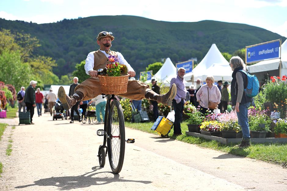 Cyclist enjoying RHS Malvern Spring