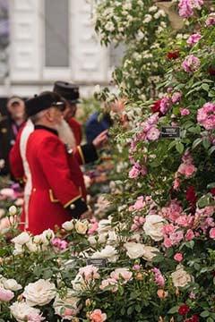 Chelsea Pensioner