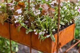 Urban Shade Content Cube planting