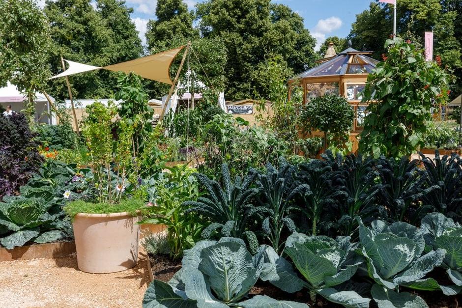 River Cottage Market Garden at RHS Hampton Court 2022