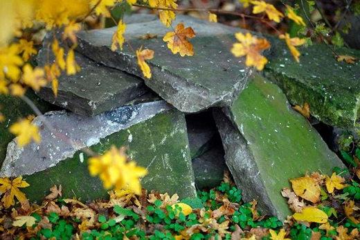 stone pile shelter